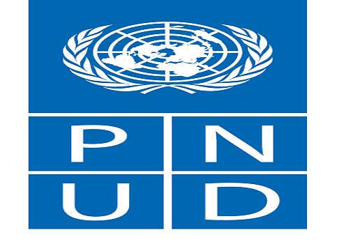 Logo PNUD